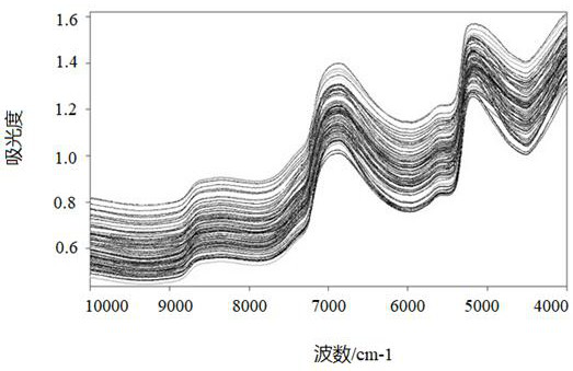 A method of extreme learning machine spectrum model to judge the origin of fresh leaves of Enshi Yulu tea
