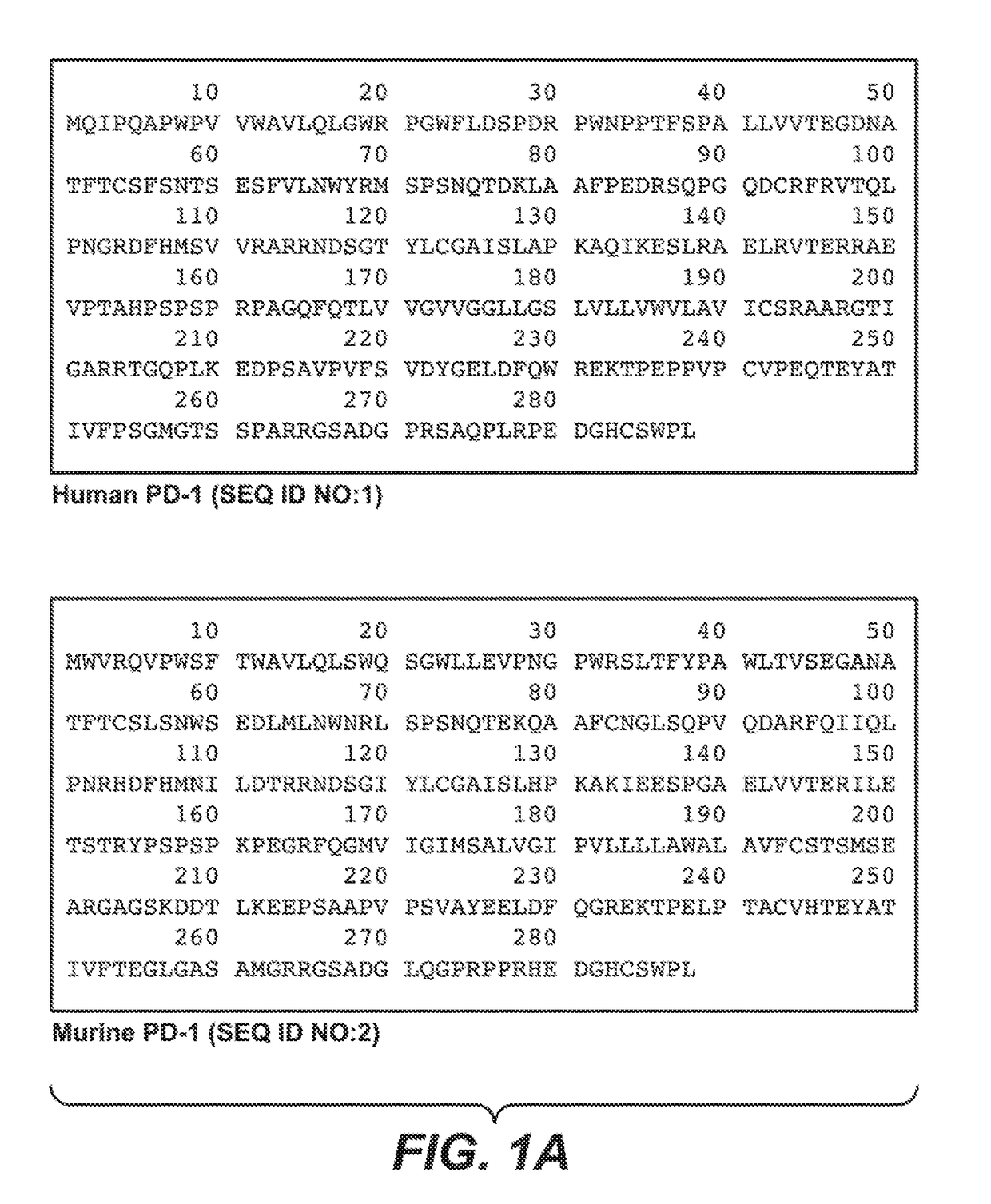 Anti-PD-1 antibodies and their uses