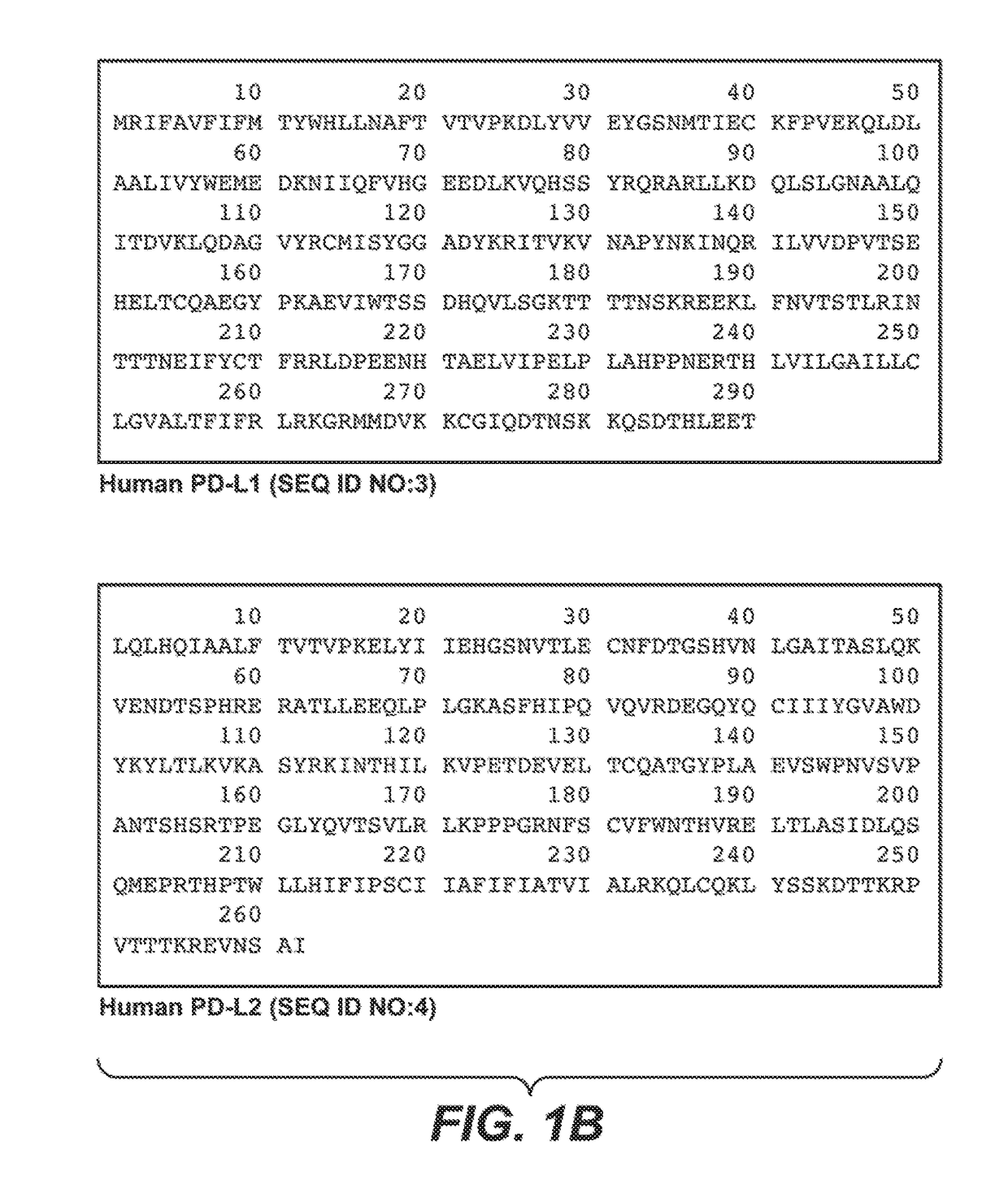 Anti-PD-1 antibodies and their uses