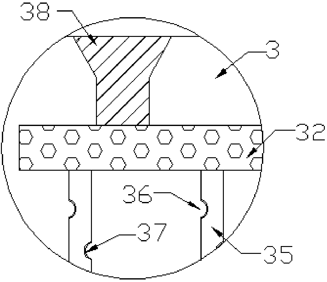 Biomass fertilizer production device