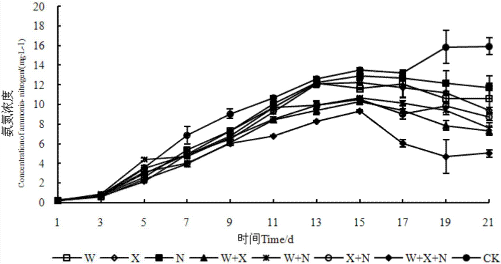 Heterotrophic nitrification-aerobic denitrification bacterium and application thereof