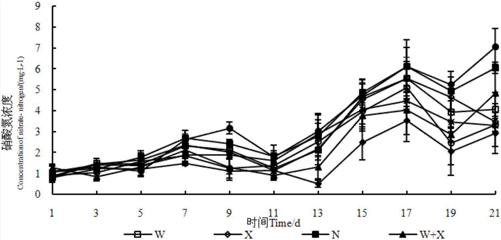 Heterotrophic nitrification-aerobic denitrification bacterium and application thereof