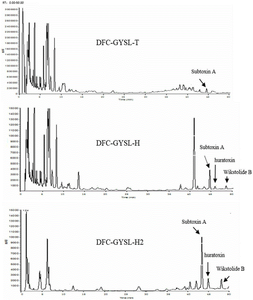 Preparation method of total diterpenoids of stellera chamaejasme L. and application of total diterpenoids in medicine preparation