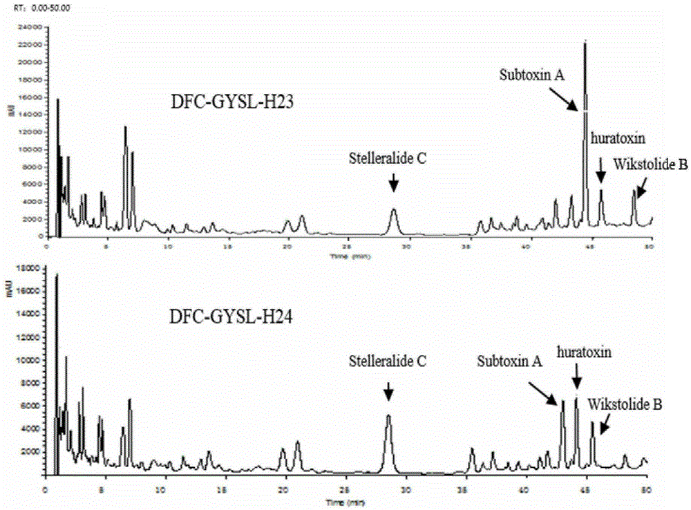 Preparation method of total diterpenoids of stellera chamaejasme L. and application of total diterpenoids in medicine preparation