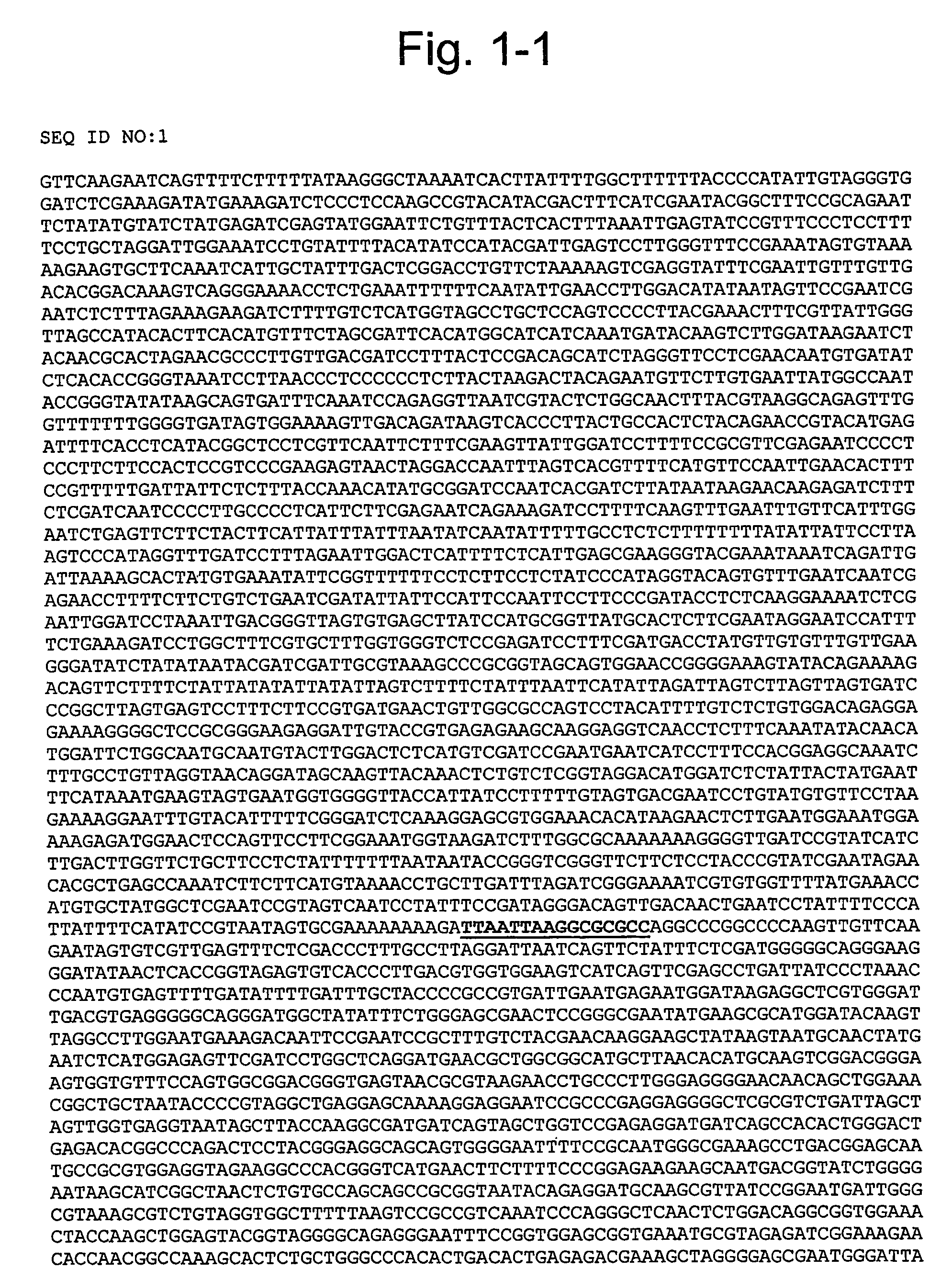 Method of plastid transformation in asteraceae, vector for use therein and plants thus obtained