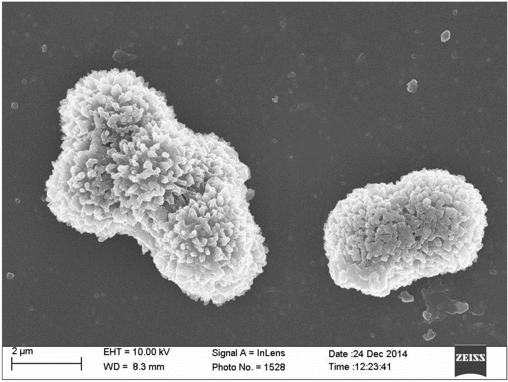 Magnetic composite metal organic framework material of multi-stage structure and manufacturing method thereof