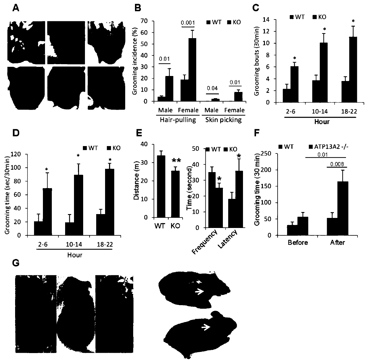 Application of compound FTY720 to preparation of detection markers for treating behavior abnormality and motion abnormality