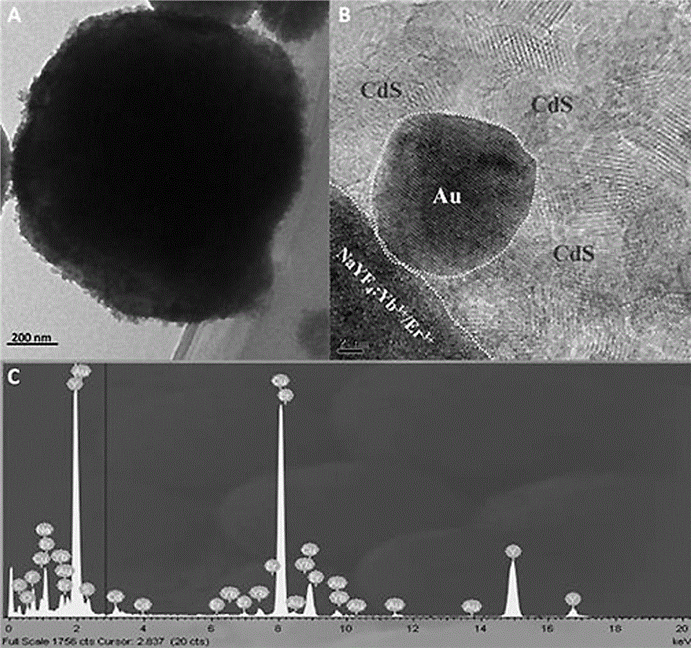 Rare earth-doped NaYF4/Au@CdS composite photocatalyst and preparation method thereof