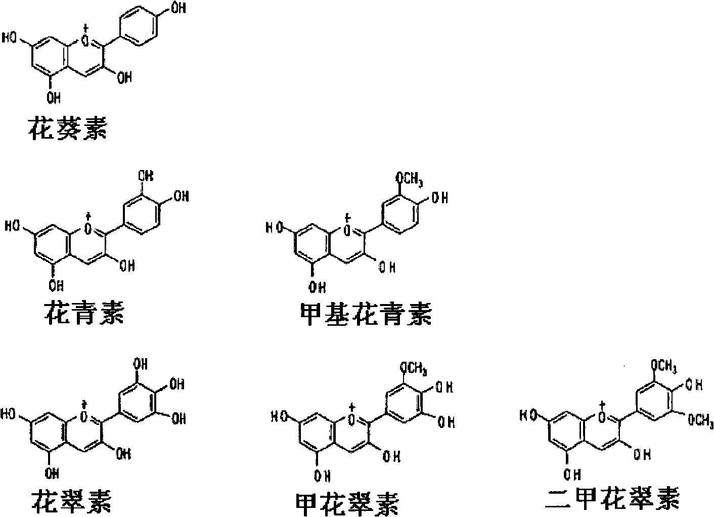 Rose containing flavone and delphinidin, and method for production thereof