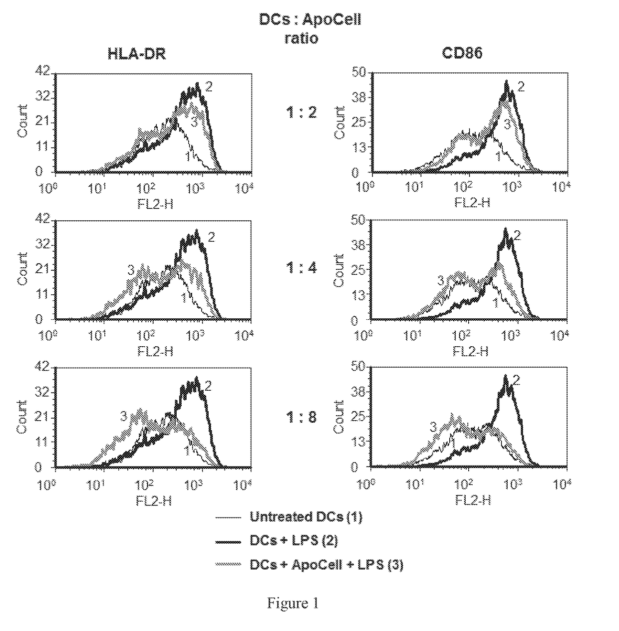 Therapeutic apoptotic cell preparations, method for producing same and uses thereof