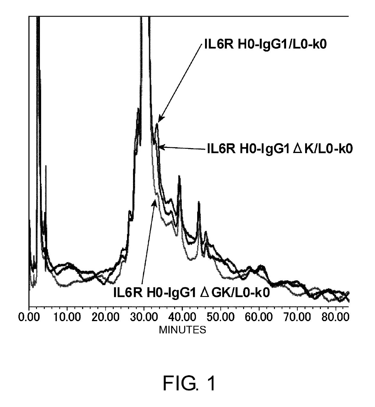 Antibody constant region variant