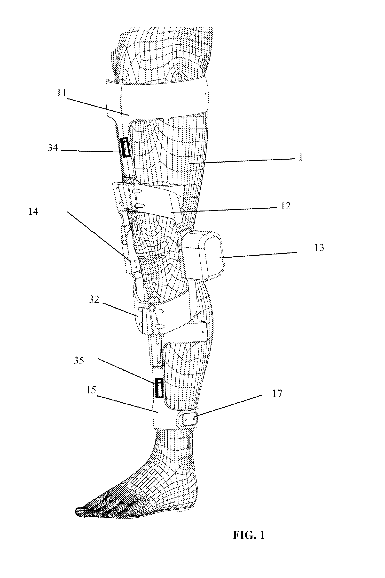 Interactive Exoskeleton Robotic Knee System