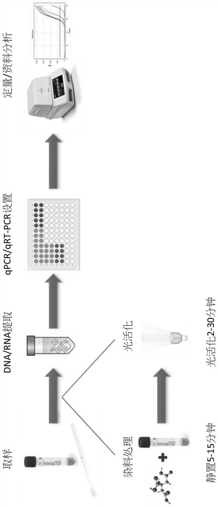 Method for detecting infectivity of human coronavirus