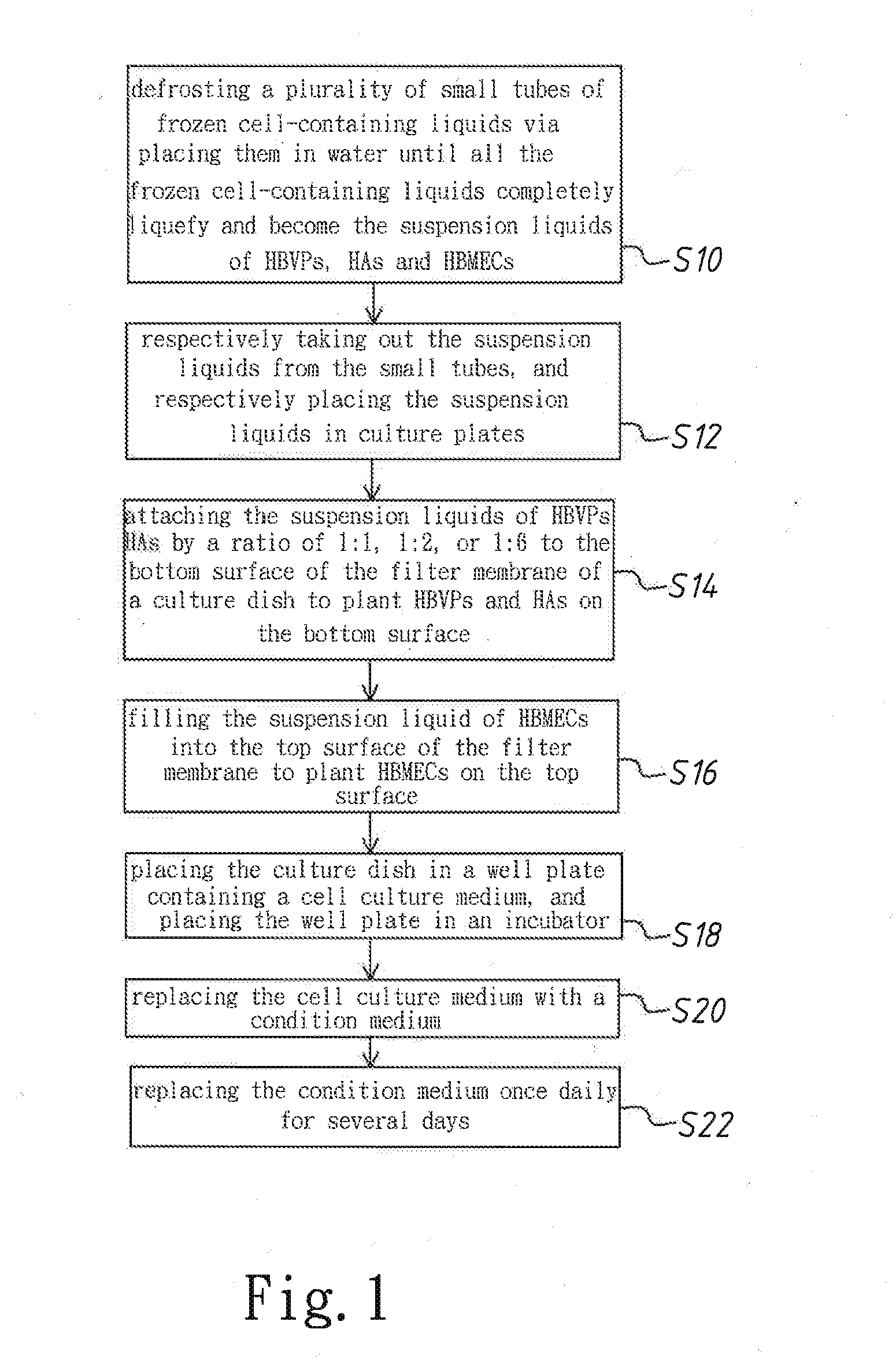 Method to construct in-vitro human blood brain barrier model