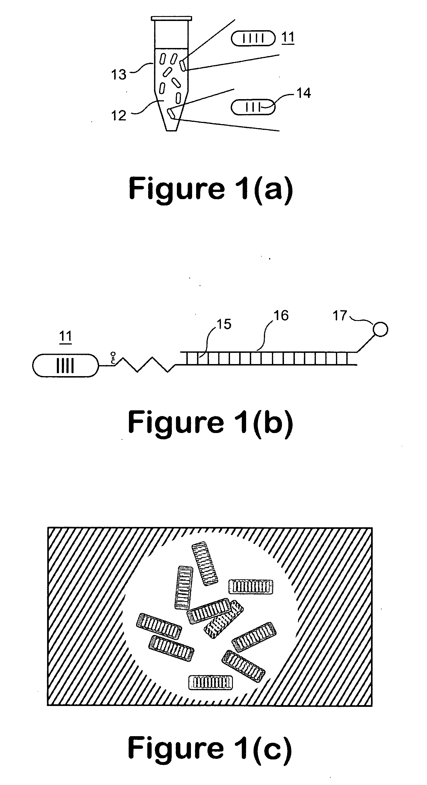 Apparatus and method for digital magnetic beads analysis