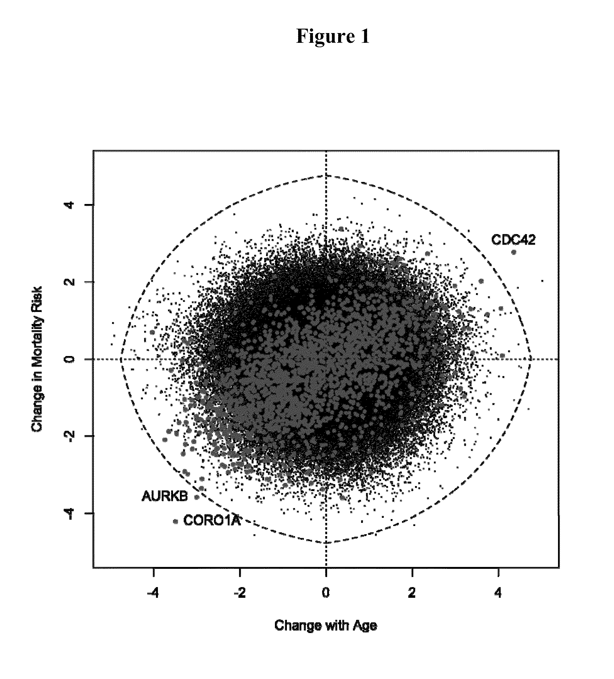 Methods and kits for determining biological age and longevity based on gene expression profiles