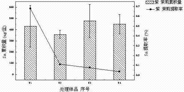 A method for remediating SN polluted soil by using the flower plant mirabilis