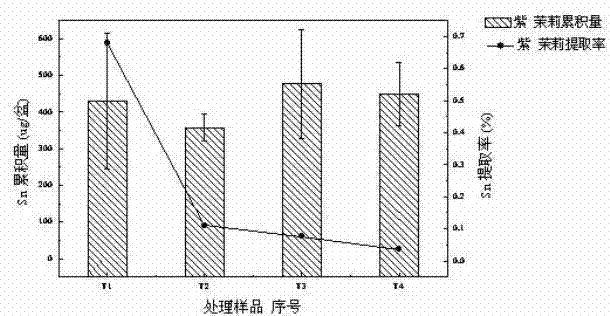 A method for remediating SN polluted soil by using the flower plant mirabilis