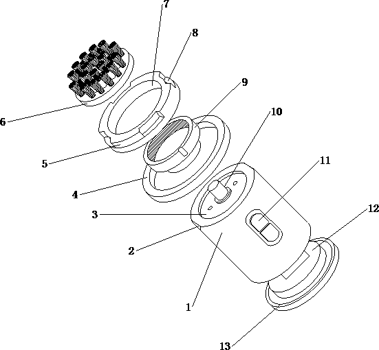 Adjustable pressure automatic face brush