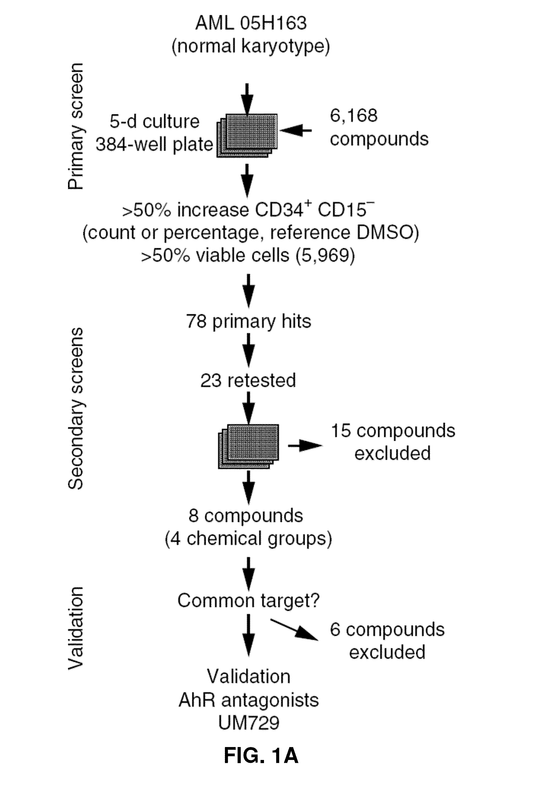 Methods to modulate acute myeloid leukemia stem/progenitor cell expansion and/or differentiation