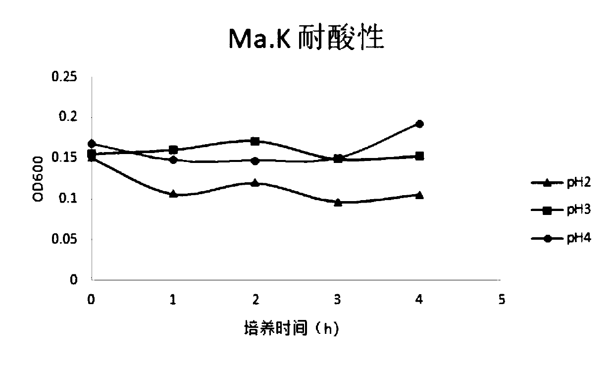 Bacillus subtilis for feeding and application thereof