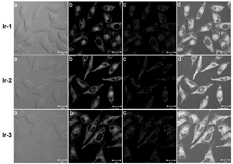 A mitochondria-targeted iridium-n-heterocyclic carbene complex and its preparation method and application