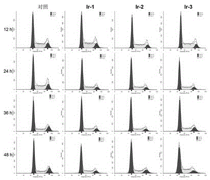 A mitochondria-targeted iridium-n-heterocyclic carbene complex and its preparation method and application