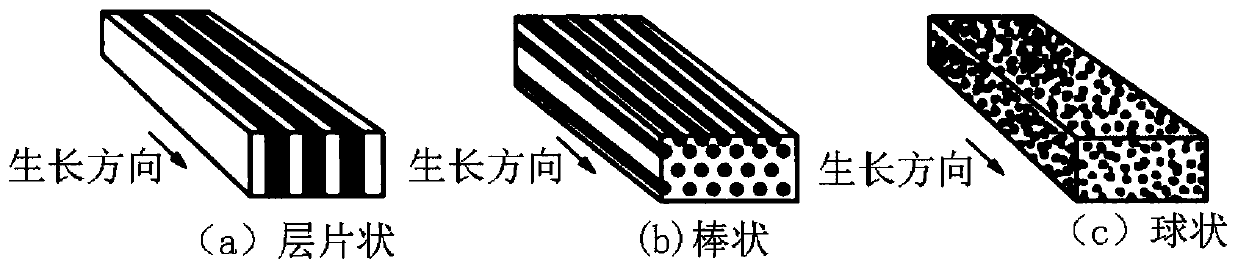 Method for preparing Fe-Al-Ta multifunctional integrated material through Bridgeman directional solidification technology