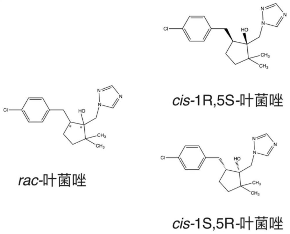 Application of cis-1s,5r-meconazole in regulating wheat growth