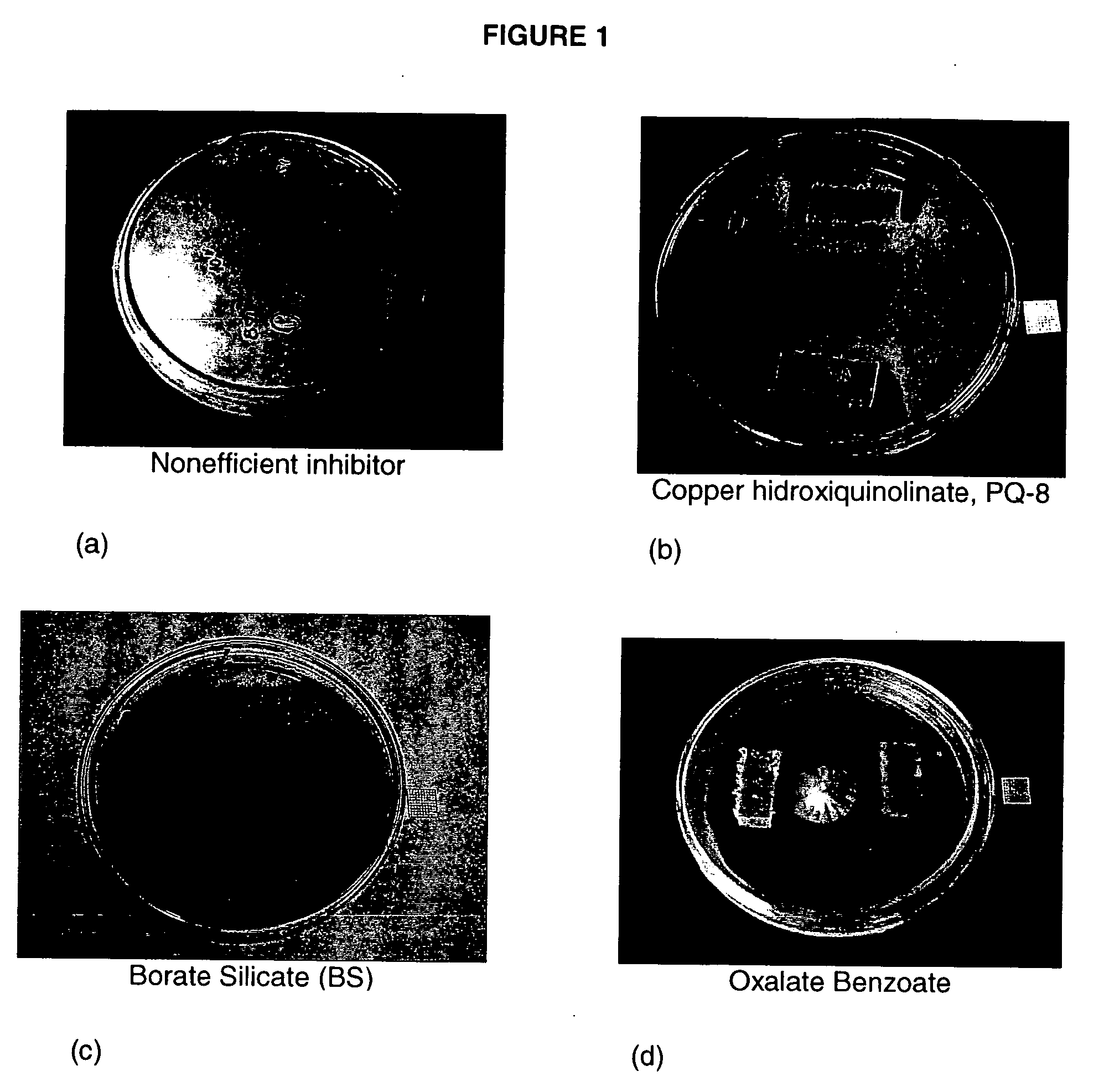 Liquor that avoids the apparition of stains produced by fungi in lignocellulosic materials such as wood