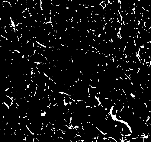 Carbon nanotube conductive agent for lithium ion battery positive electrode material and preparation method of carbon nanotube conductive agent