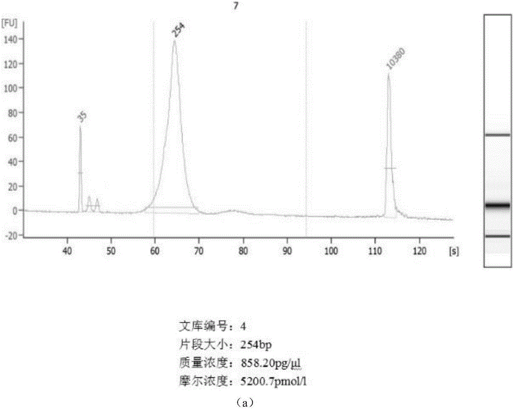 Construction method of blood free DNA (deoxyribonucleic acid) library based on Ion ProtonTM sequencing platform, reagents and application of reagents