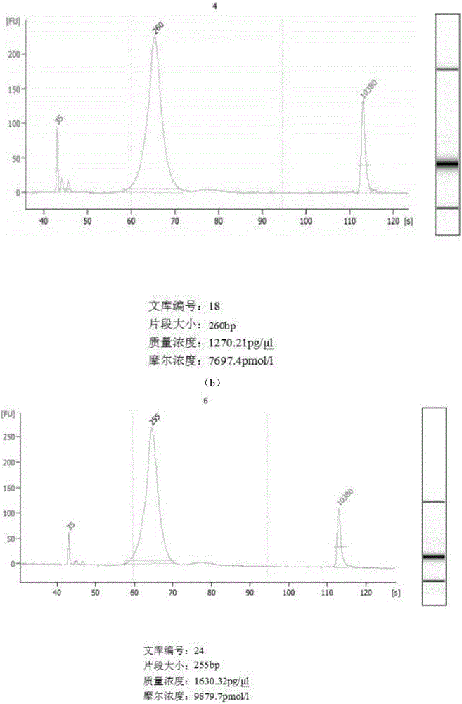 Construction method of blood free DNA (deoxyribonucleic acid) library based on Ion ProtonTM sequencing platform, reagents and application of reagents