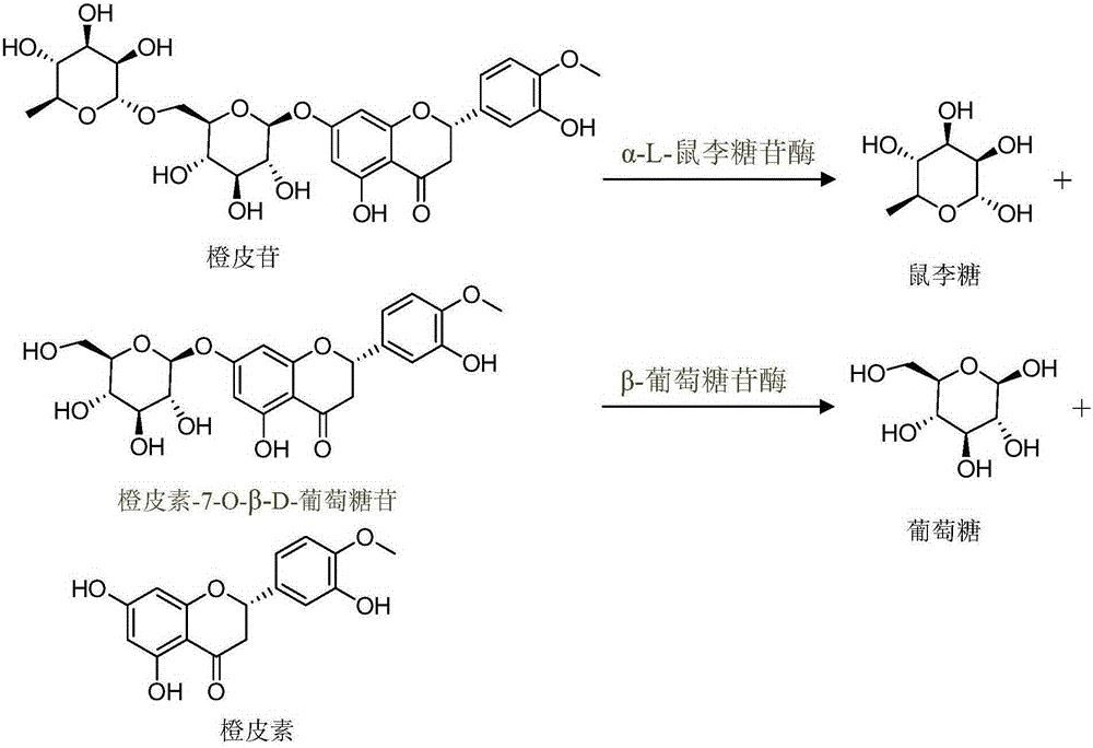 A method of obtaining high purity orange peel in spider fragrance residue