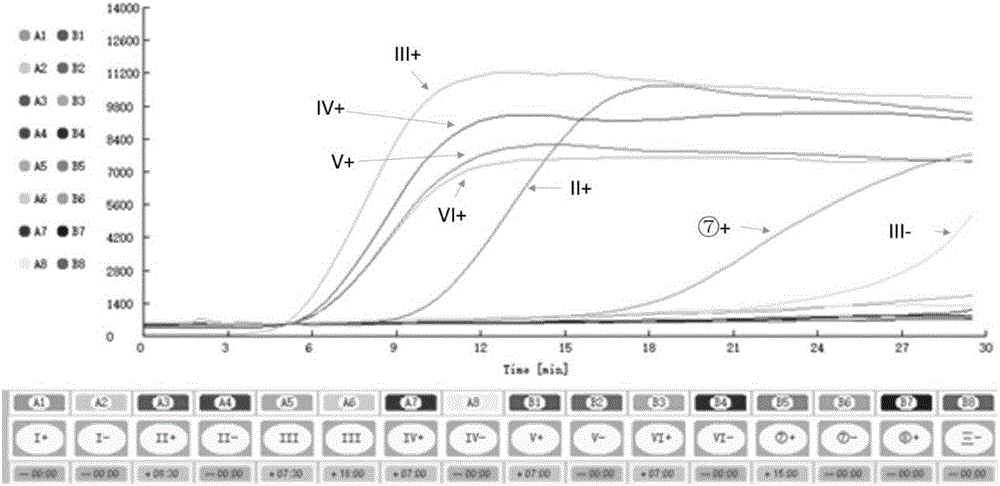 LAMP primer group for detecting phytoplasma as well as kit of LAMP primer group and application of kit