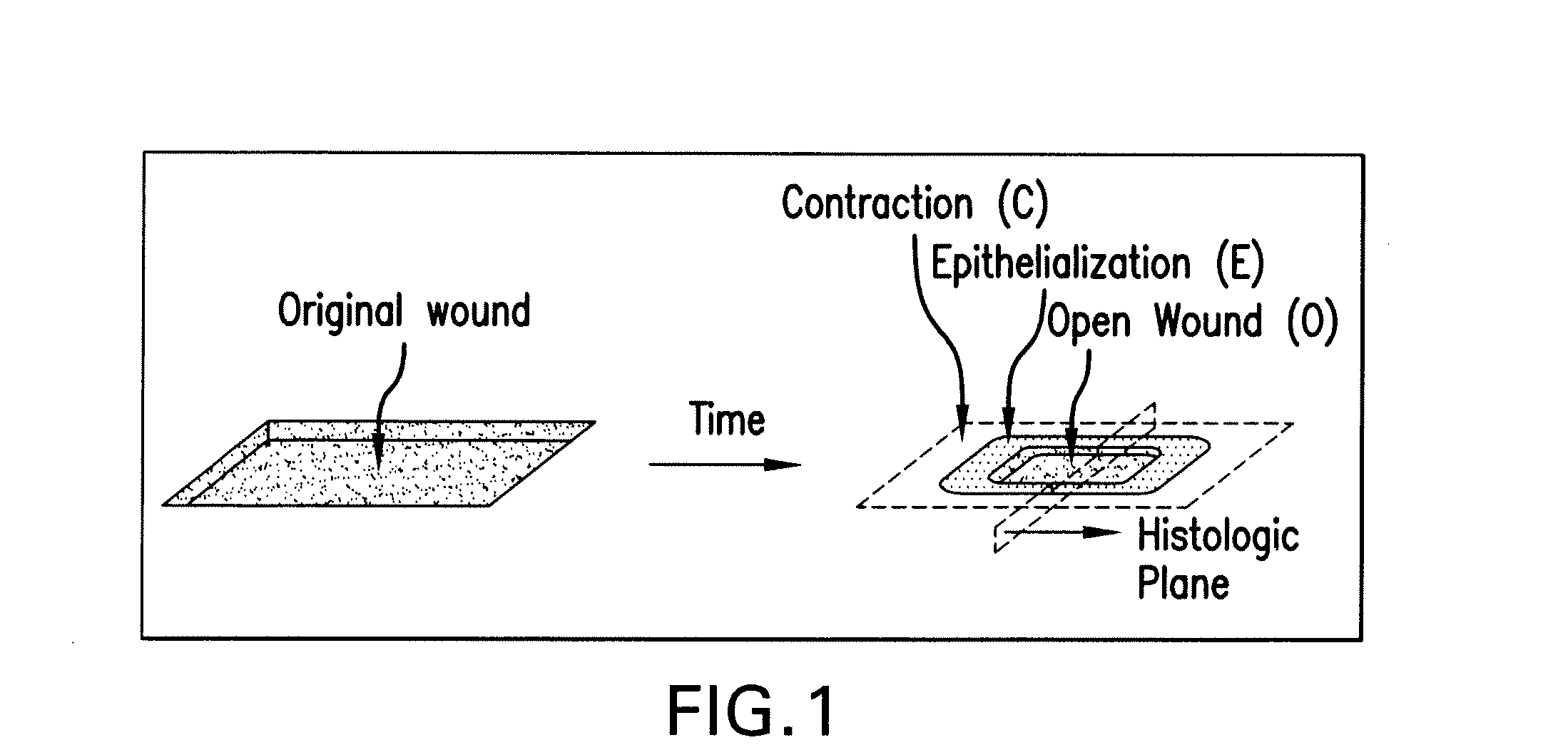 Hemostatic compositions and therapeutic regimens