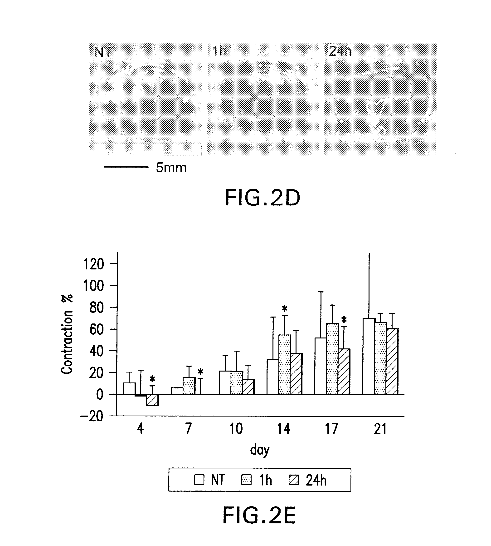 Hemostatic compositions and therapeutic regimens