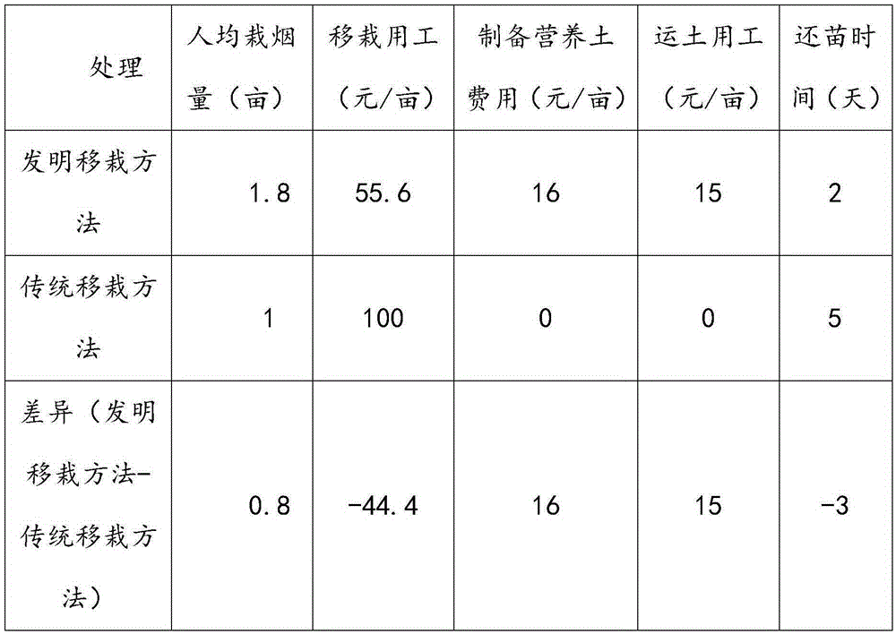 Flue-cured tobacco transplanting method