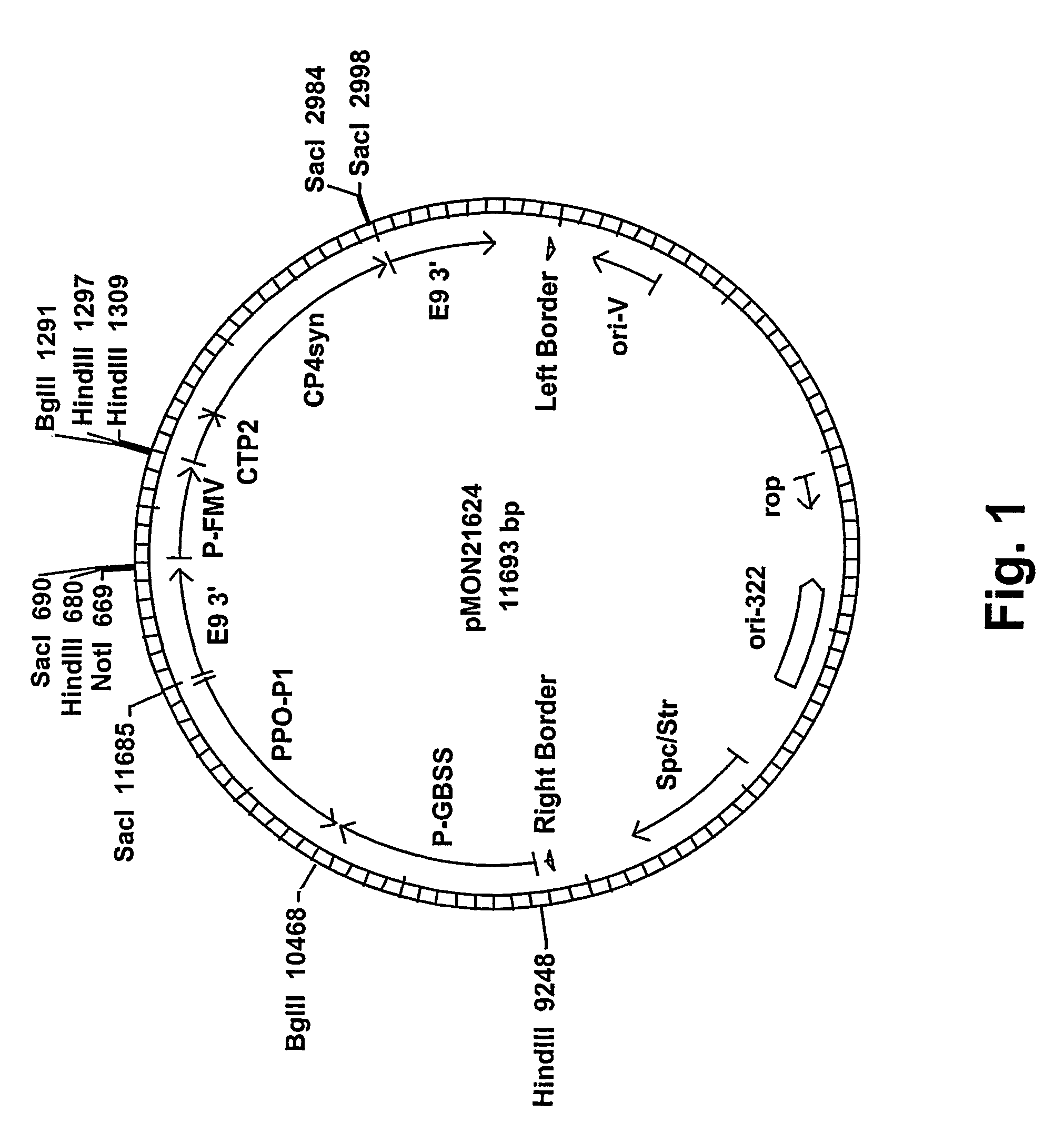 Method of imparting disease resistance to plants by reducing polyphenol oxidase activities