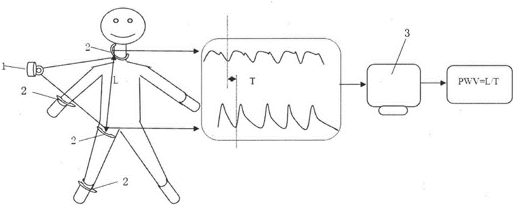 System and method for multi-segment large artery stiffness test