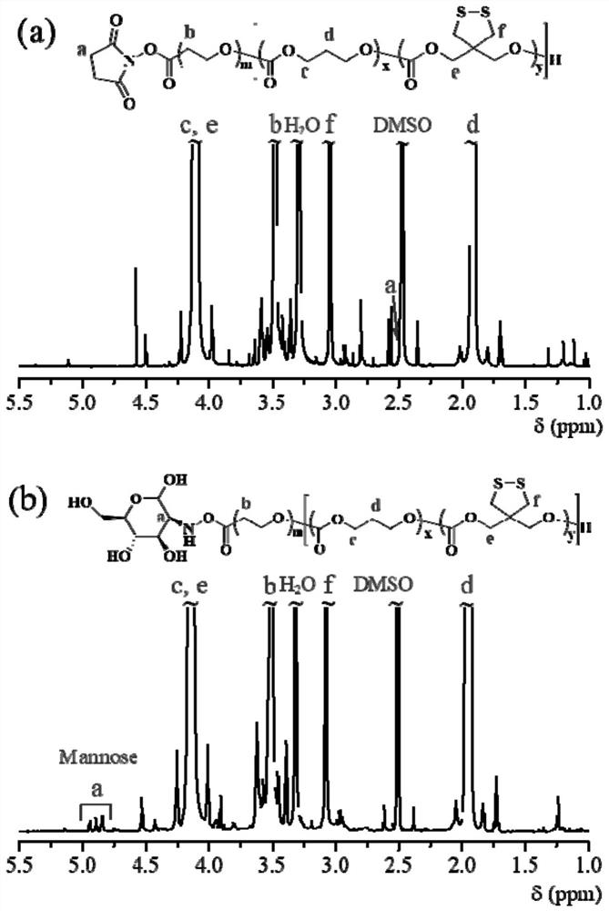 Vesicle nano-drug loaded with chloroquine compound as well as preparation method and application of vesicle nano-drug