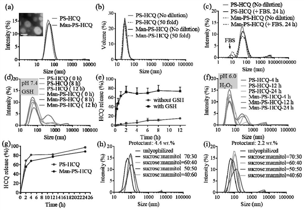 Vesicle nano-drug loaded with chloroquine compound as well as preparation method and application of vesicle nano-drug