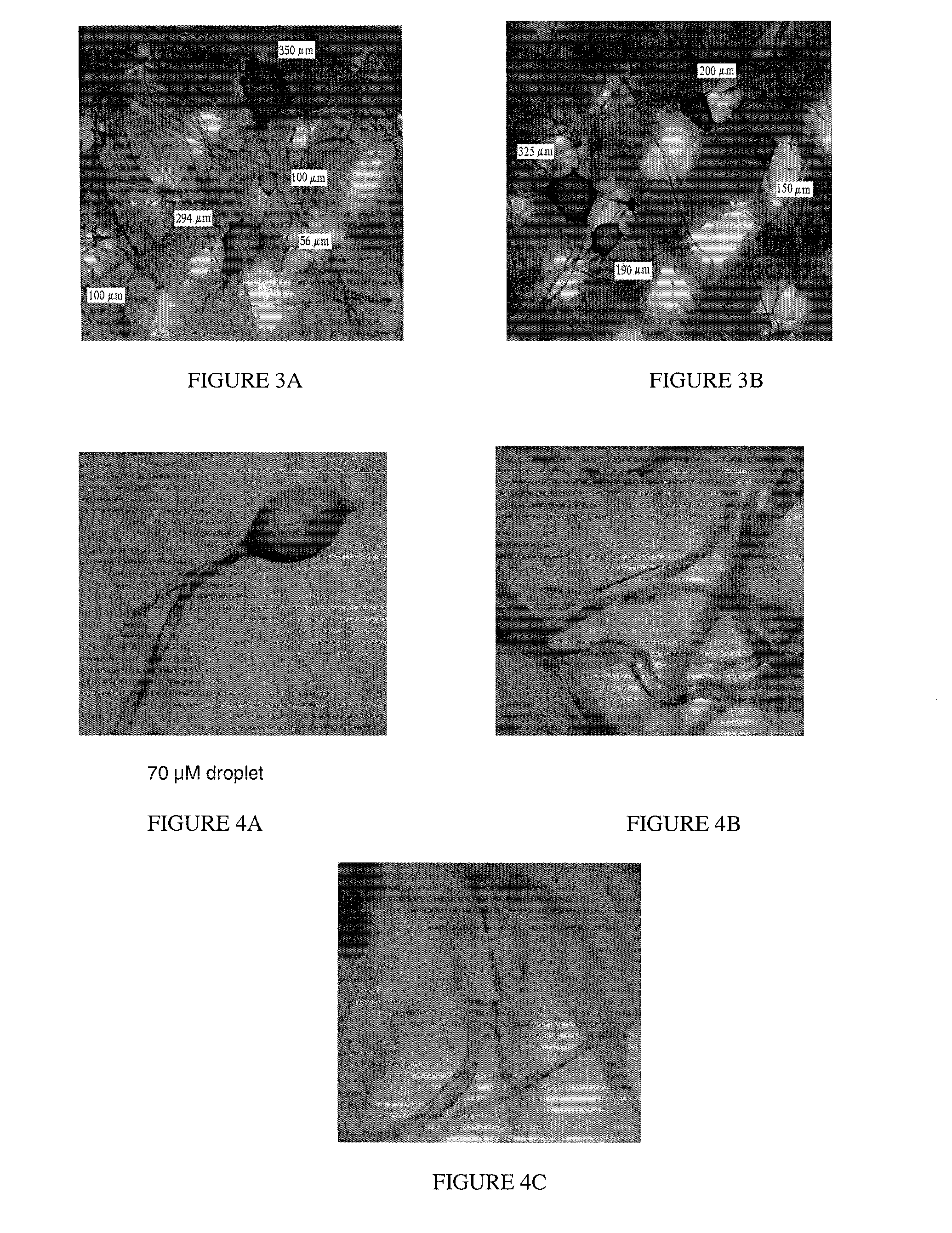 Controlled flow polymer blends and products including the same