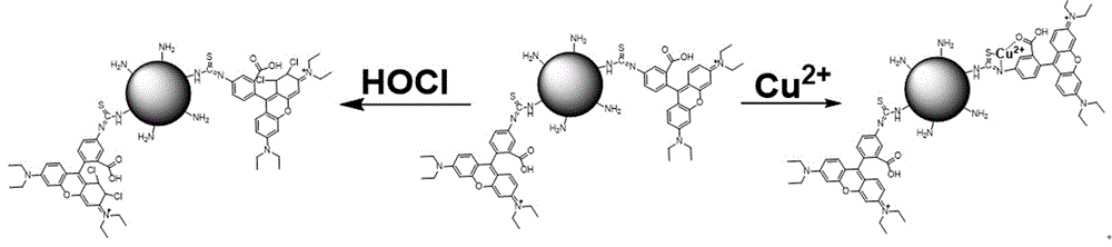 Polymer nanoparticles capable of detecting hypochlorous acid and copper ions as well as preparation method and application of polymer nanoparticles