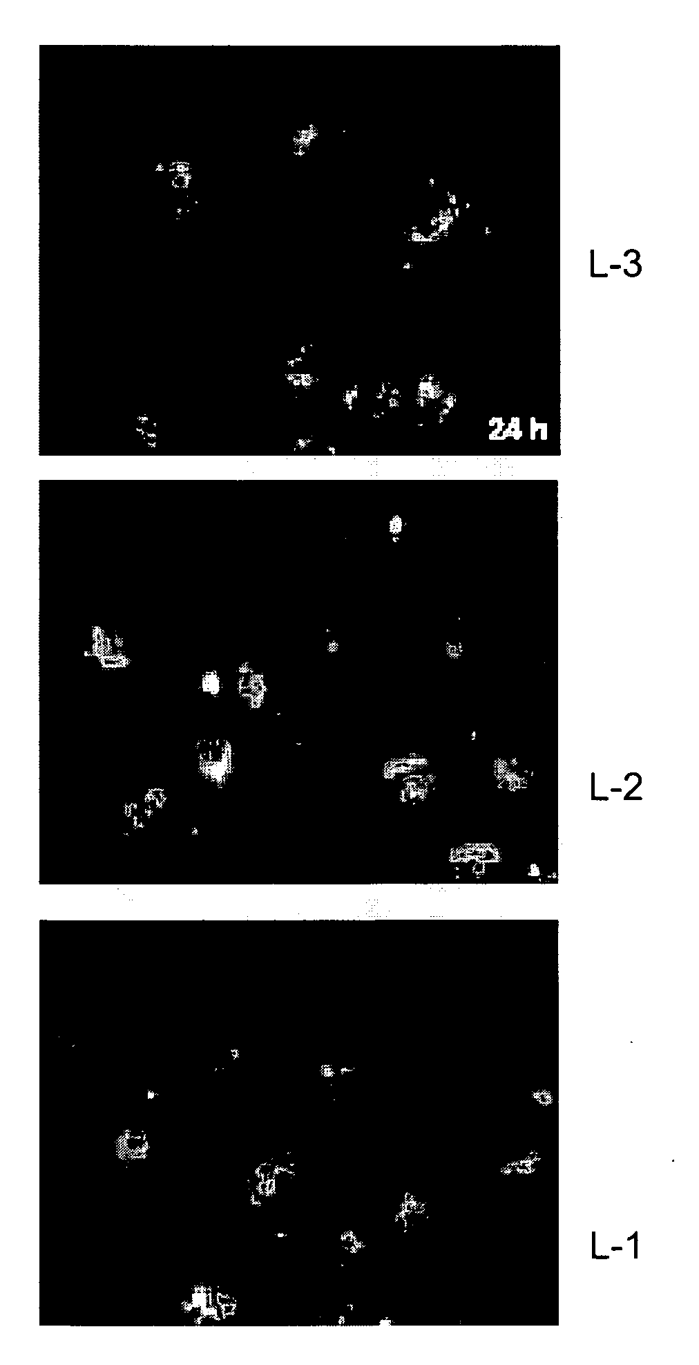 Lipids and lipid assemblies comprising transfection enhancer elements