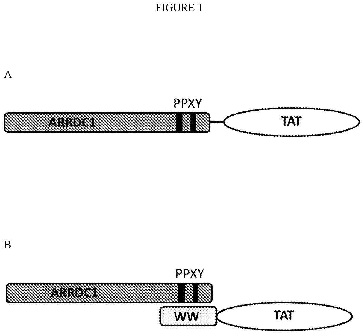 Delivery of therapeutic rnas via arrdc1-mediated microvesicles