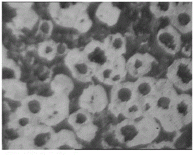 Heat-resistant sphere and production process thereof