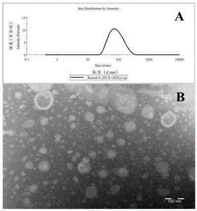 Anticancer composition as well as preparation and application thereof