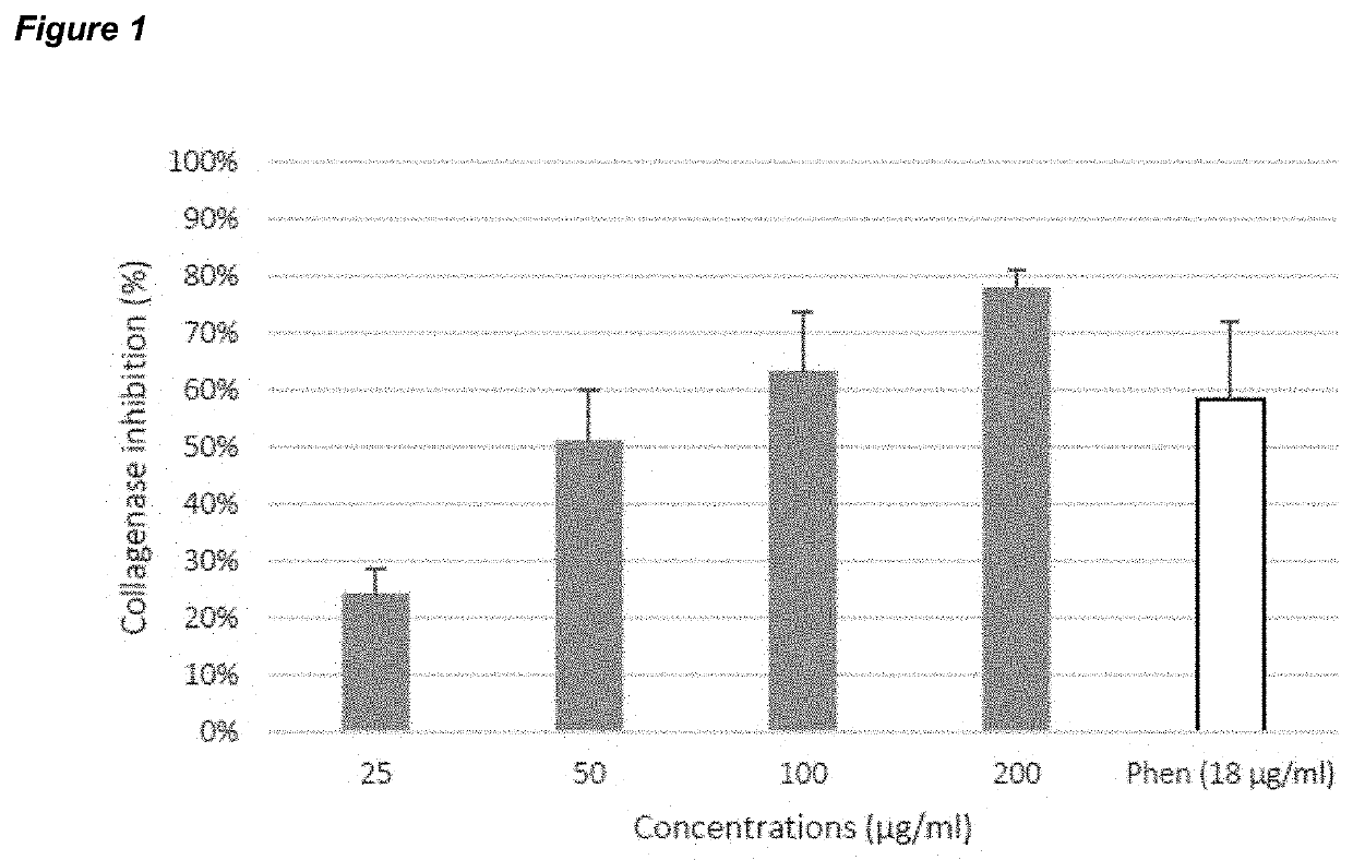 Tree bark extract as anti-aging composition and uses thereof