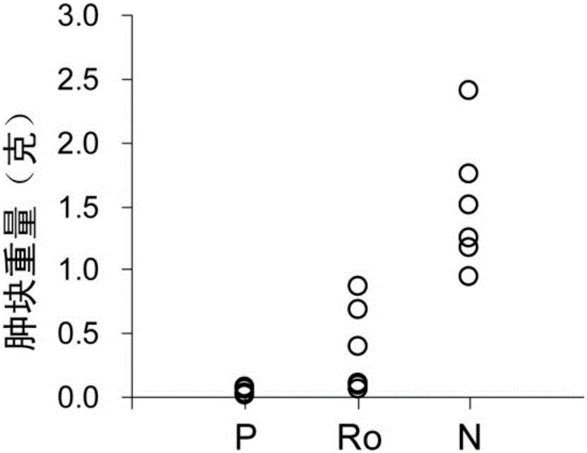 Application of ginsenoside Ro in preparation of antitumor drugs